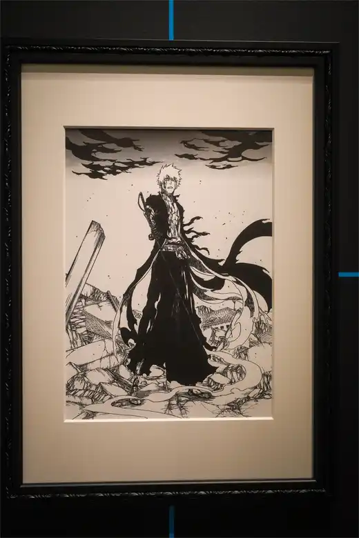 Gallery photo 24