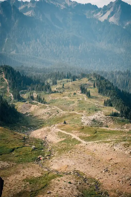 Gallery photo 38