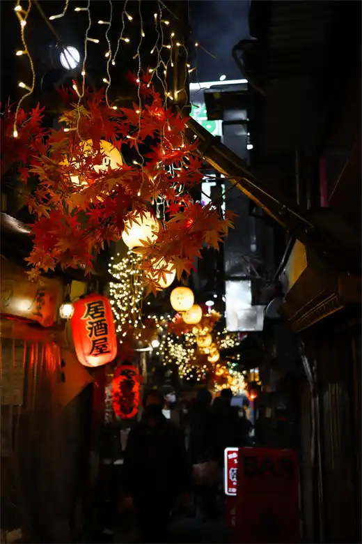 Gallery photo 6