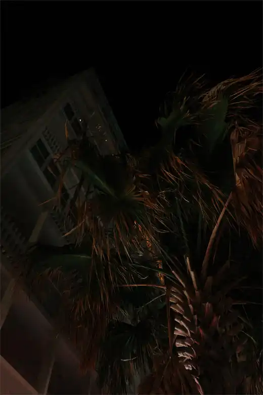 Gallery photo 14