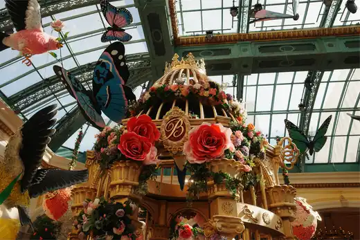 Gallery photo 15