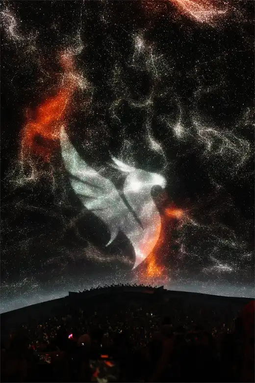Gallery photo 27