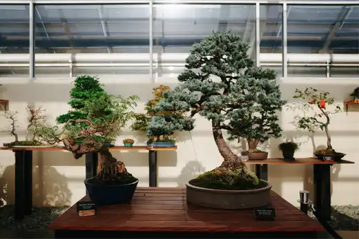 Gallery photo 20