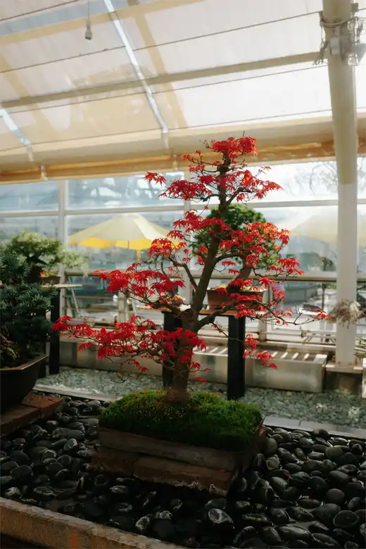 Gallery photo 22