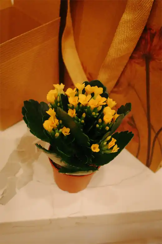 Gallery photo 38
