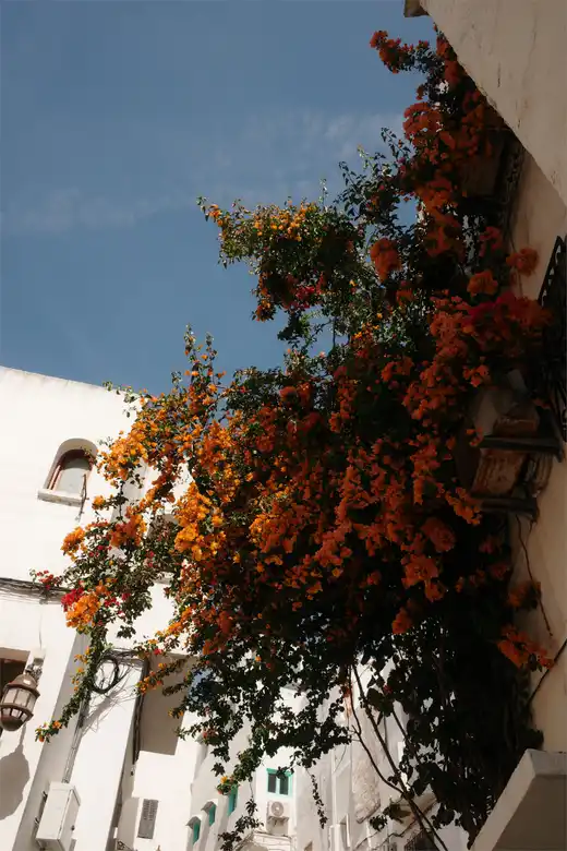Gallery photo 35