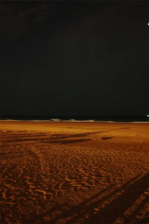 Gallery photo 63