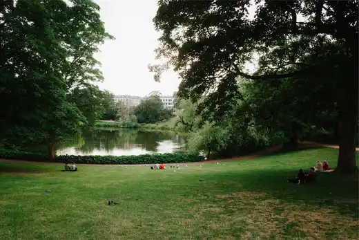Gallery photo 16