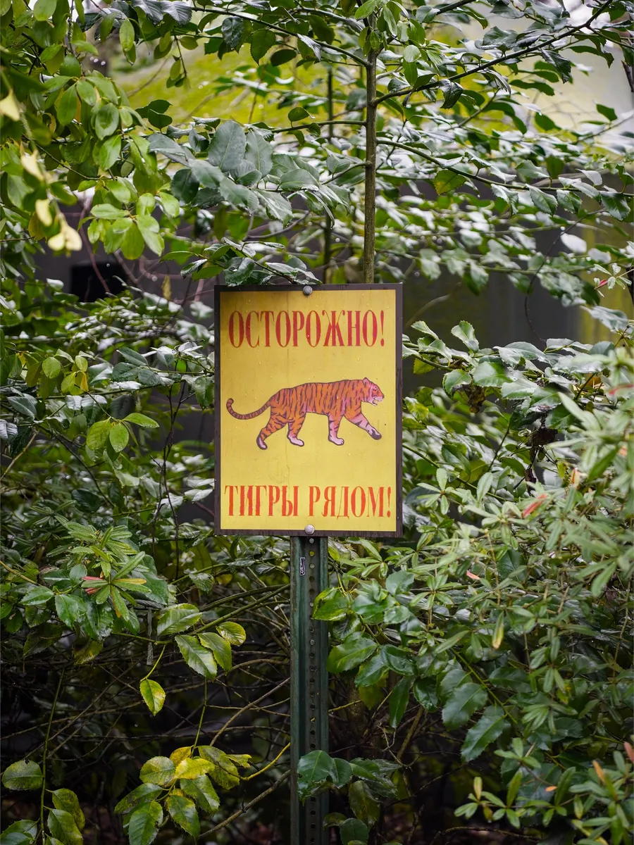 BRONX ZOO cover