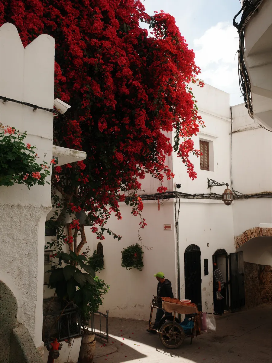 TANGIER cover