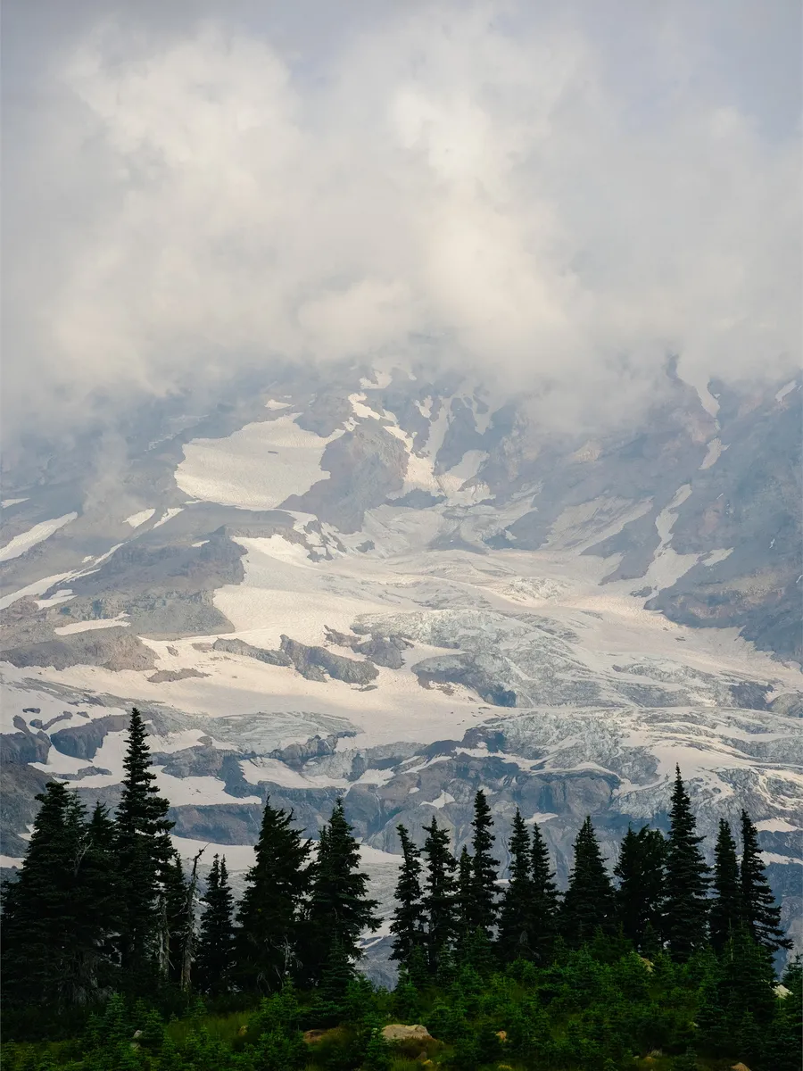 RAINIER cover